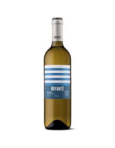 VERDEJO